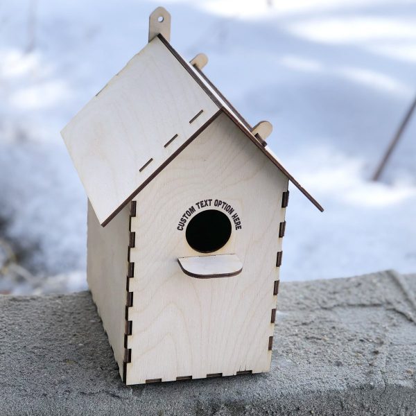 Bird House Craft Project