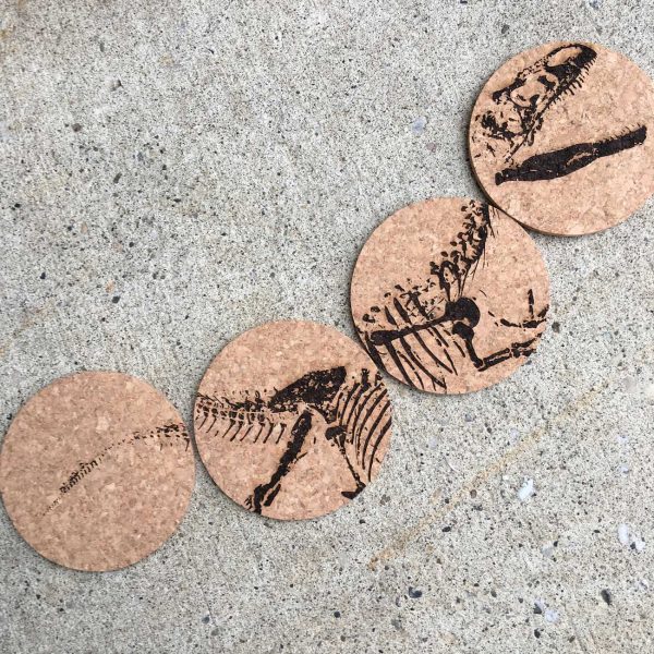 Dino Bones — coasters