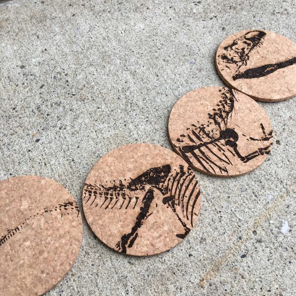 Dino Bones — coasters - Image 2