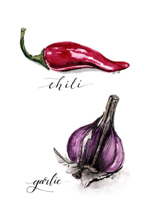 Chili and garlic watercolour