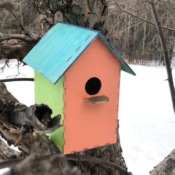 Bird House Craft Project - Image 6